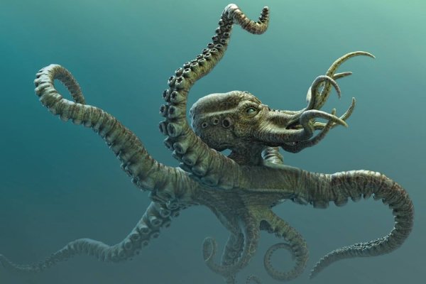 Kraken 25 at