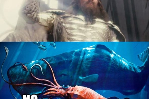 Kraken 20at