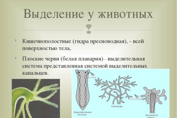 Kraken настоящая ссылка