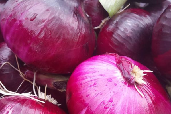 Kraken onion вход