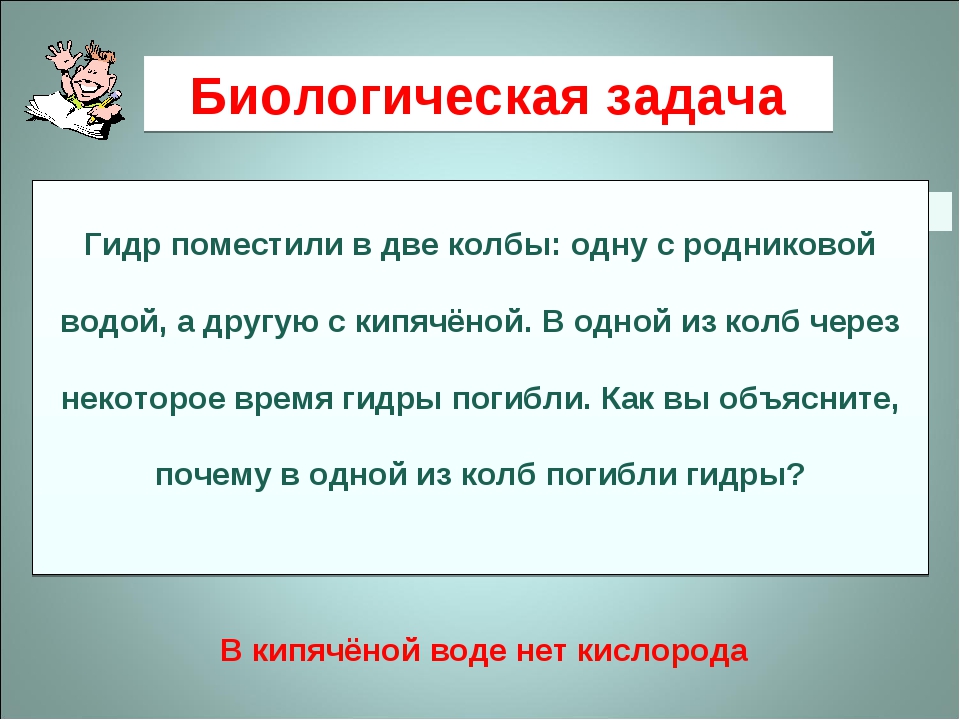 Кракен 17 вход