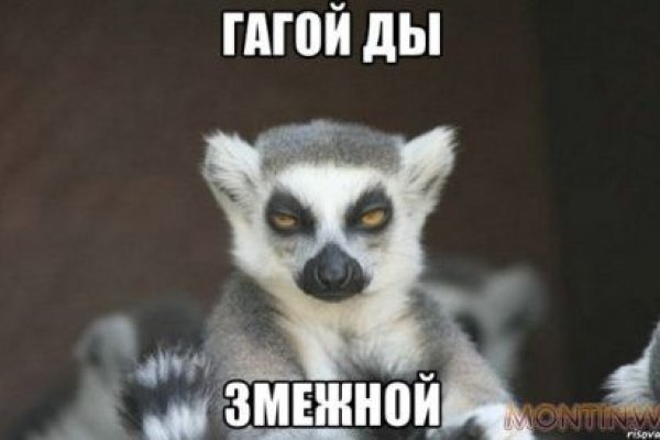 Сайт вместо гидры