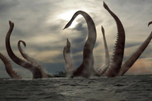 Kraken 17 at