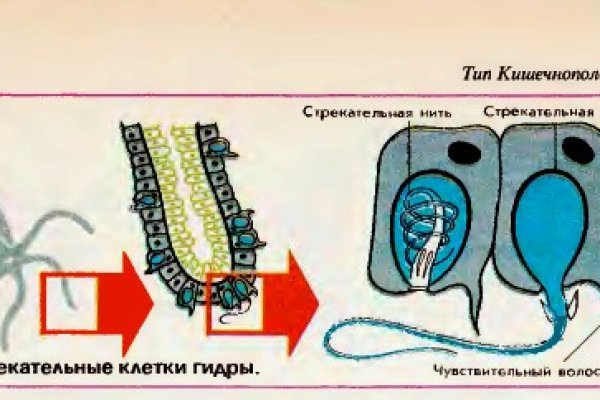 Кракен магазин наркоты
