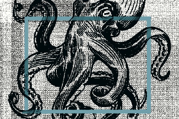 Kraken ссылка kraken link24 info