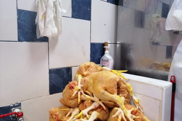 Кракен онион ссылка на тор